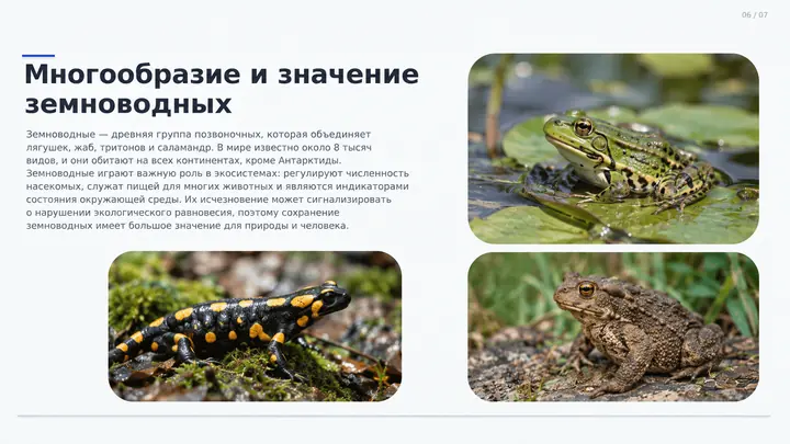 Пример слайда: Многообразие земноводных